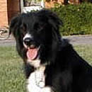 Cole was adopted in July, 2005